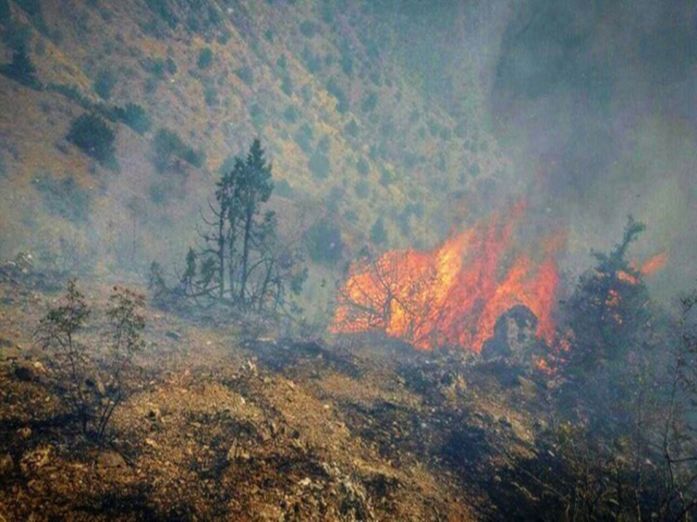 آتش‌سوزی در جنگل‌های ارسباران به طور کامل اطفا شد