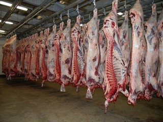 تولید گوشت قرمز  در کشور 19 درصد افزایش یافت
