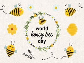 15 آگوست ، روز جهانی زنبور عسل