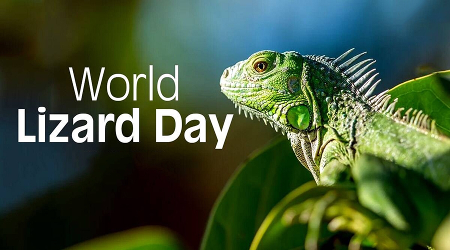 14  آگوست، روز جهانی مارمولک