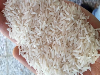 ممنوعیت واردات برنج اجرایی شد