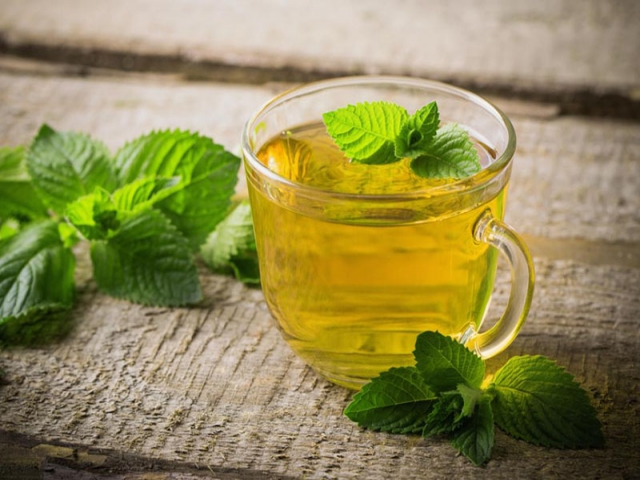 طرز تهیه چای نعناع
