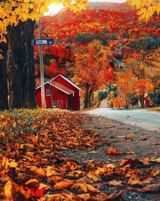 پاییز بی نظیر در ورمونت آمریکا (Vermont) + عکس