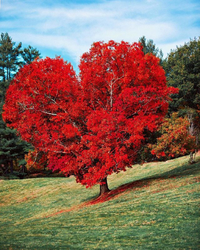 پاییز بی نظیر در ورمونت آمریکا (Vermont) + عکس