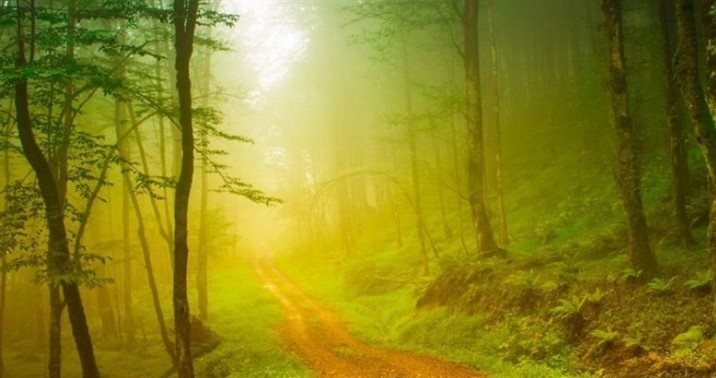 بهترین جای شمال برای سفر بعد از کرونا کجاست؟