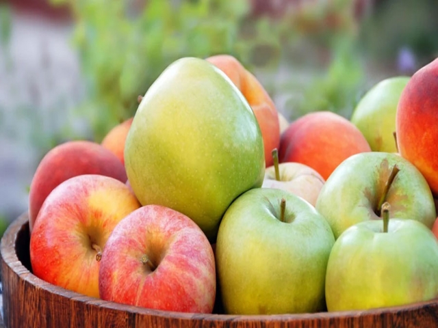 21 اکتبر، روز جهانی سیب